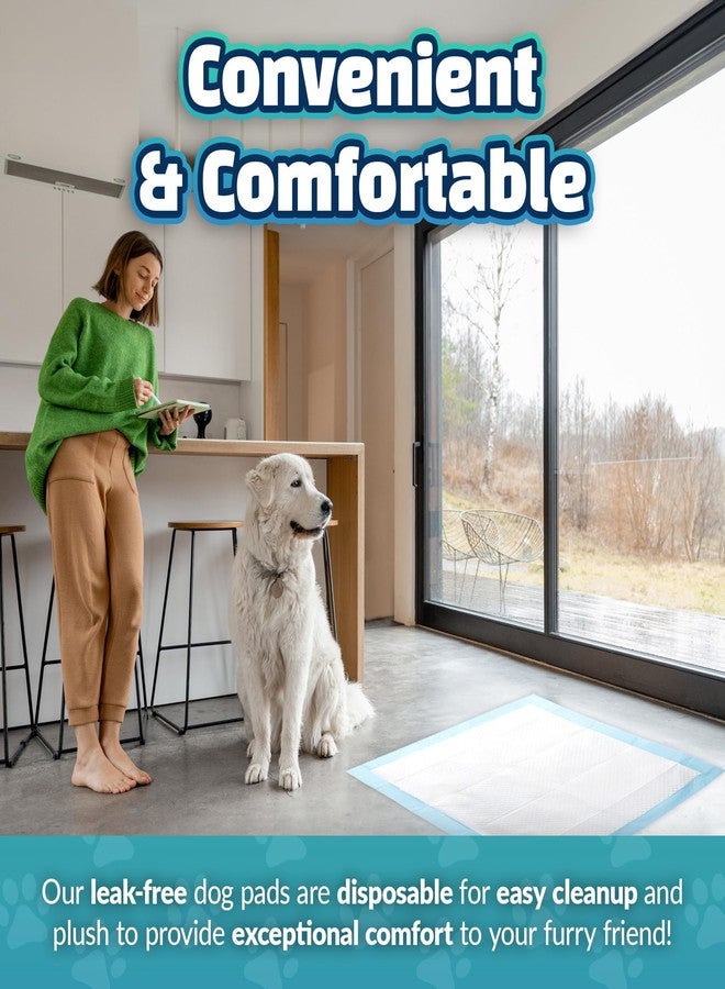 Reli. Dog Pee Pads Extra Large (60 Count) | XL 28" x 34" | Super Absorbent Puppy Peepad | Disposable, Leak-Proof Pet Training Mats for House, Crate Training - Image 5